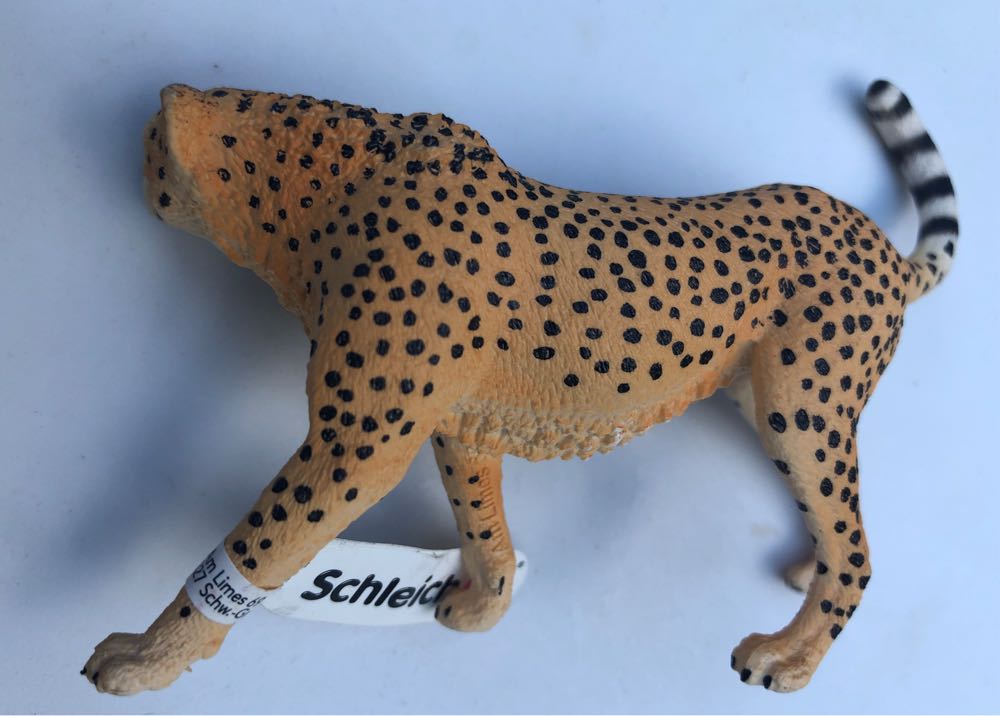 Schleich Wild Life Animal Figurine Animal Toys For Boys And Girls 3-8 Years Old Female Cheetah  vinyl figure collectible [Barcode 4059433333229] - Main Image 3