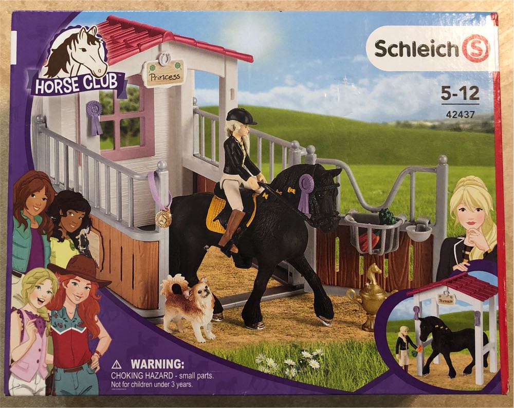 Schleich Horse Club 15-piece Playset    Horse Stall With Tori And Princess The Horse  vinyl figure collectible [Barcode 4055744023088] - Main Image 2