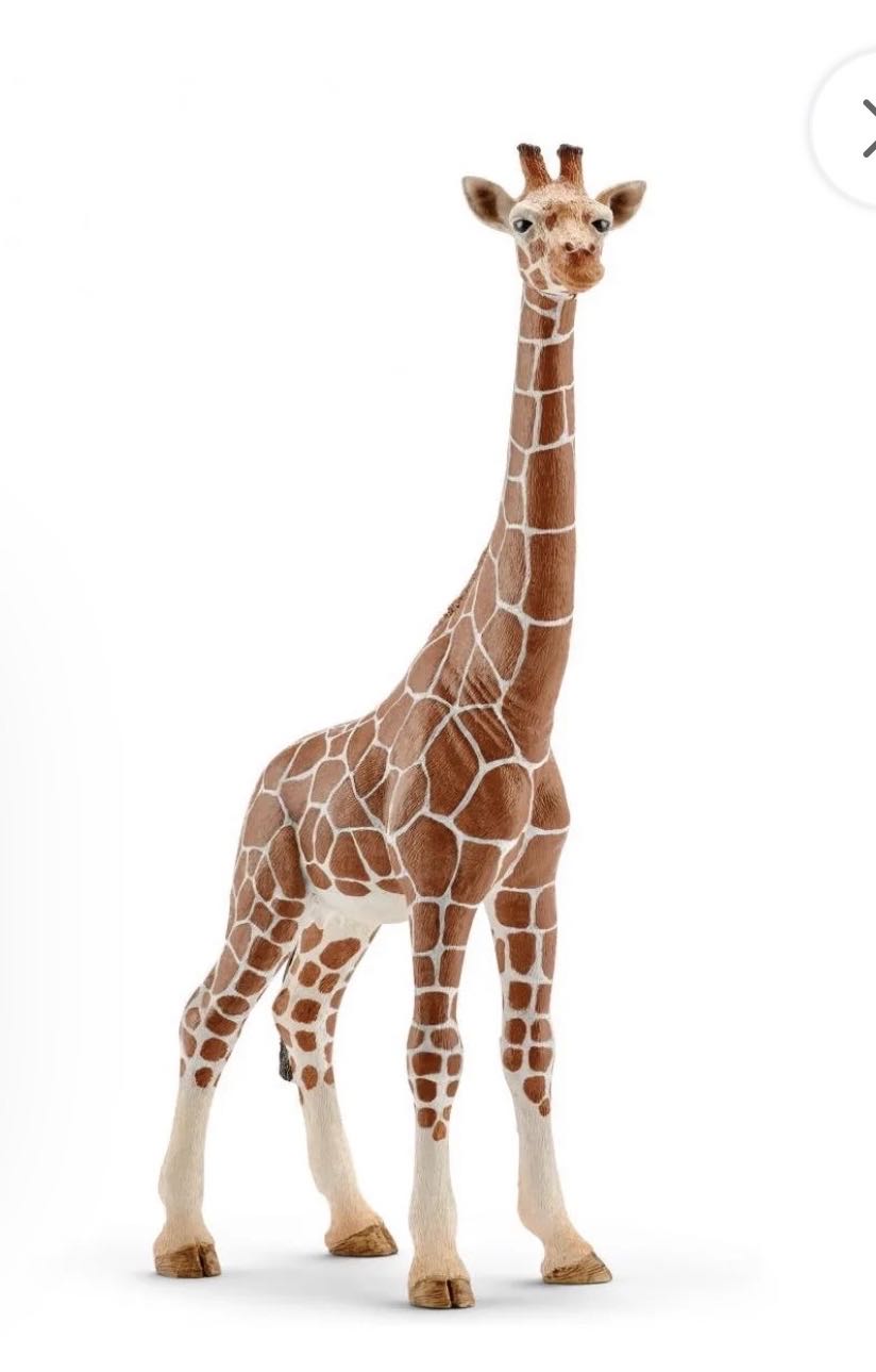 Schleich Wild Life Female Giraffe  vinyl figure collectible [Barcode 4005086147508] - Main Image 3