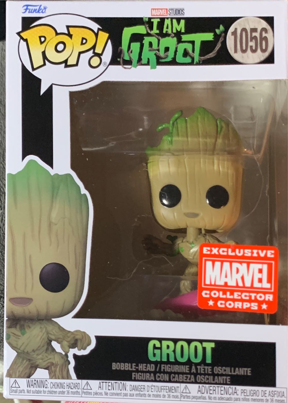 Magic Kingdom Castle