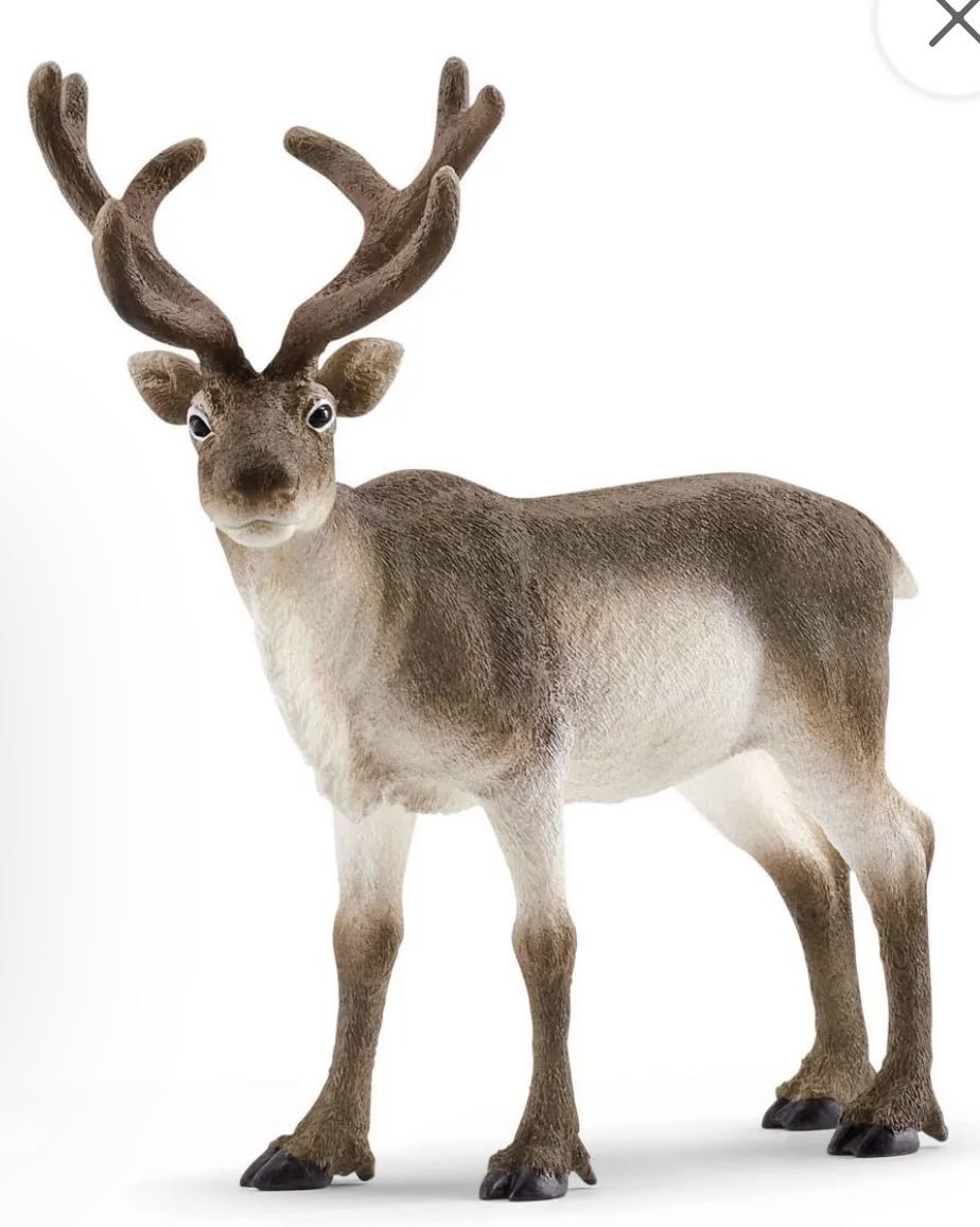 Schleich Wild Life Animal   Reindeer  vinyl figure collectible [Barcode 4059433013961] - Main Image 4