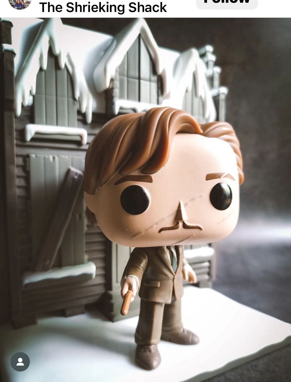 Remus Lupin With The Shrieking Shack - Harry Potter vinyl figure collectible [Barcode 889698656481] - Main Image 2