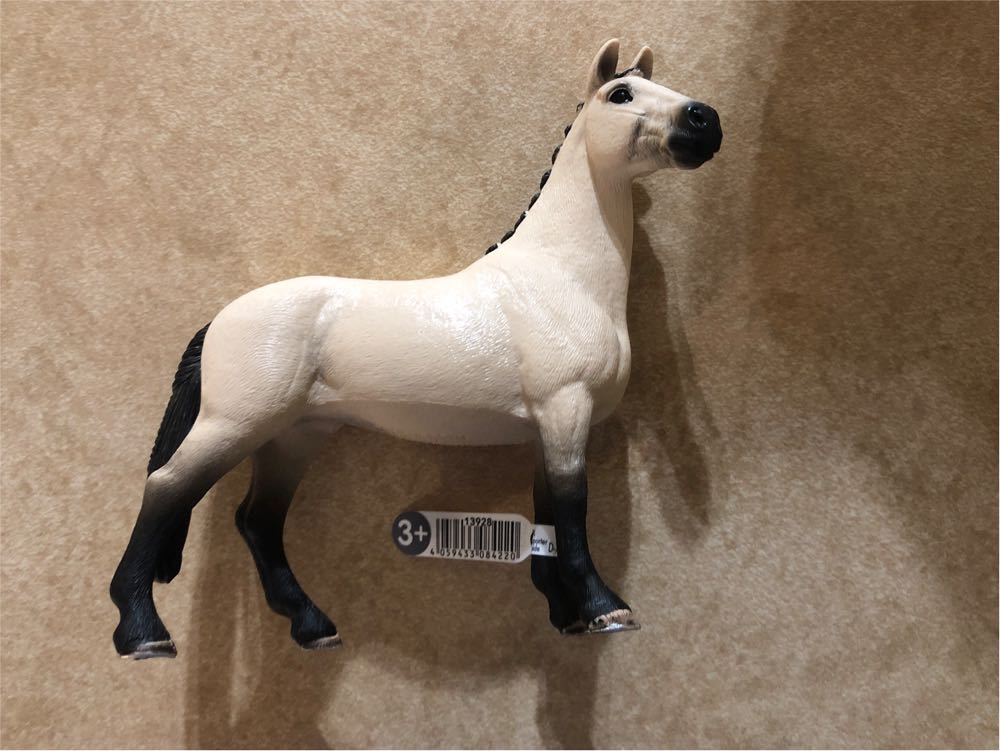 Schleich Horse Club Horse Toys For Girls And Boys Hanoverian Gelding Red Dun Horse  vinyl figure collectible [Barcode 4059433084220] - Main Image 4