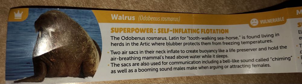 Yowie  ANIMALS with SUPER POWERS Walrus  vinyl figure collectible - Main Image 3