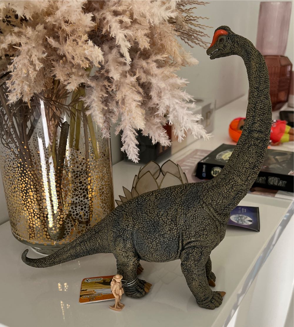 Collecta Prehistoric Life Brachiosaurus Deluxe 1:40 Scale Dinosaur Figure Authentic Hand Painted Model  vinyl figure collectible [Barcode 4892900884059] - Main Image 3