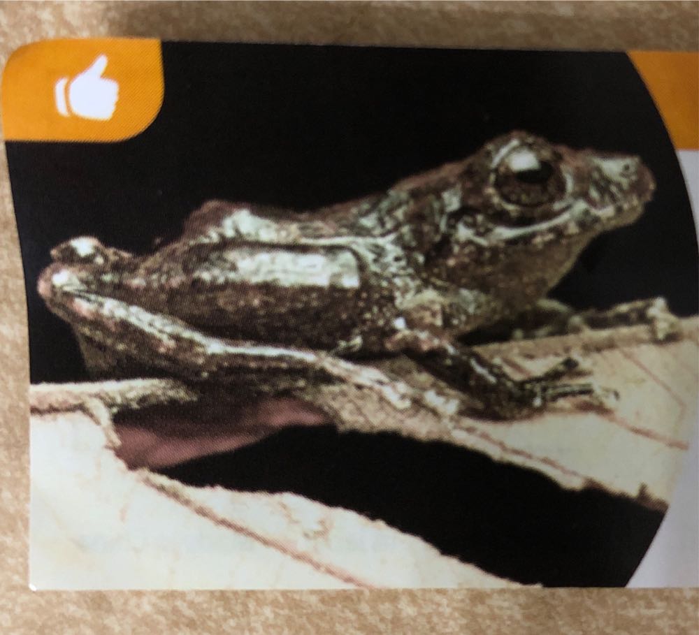 Freddy Funko (Megazord) (NFT)