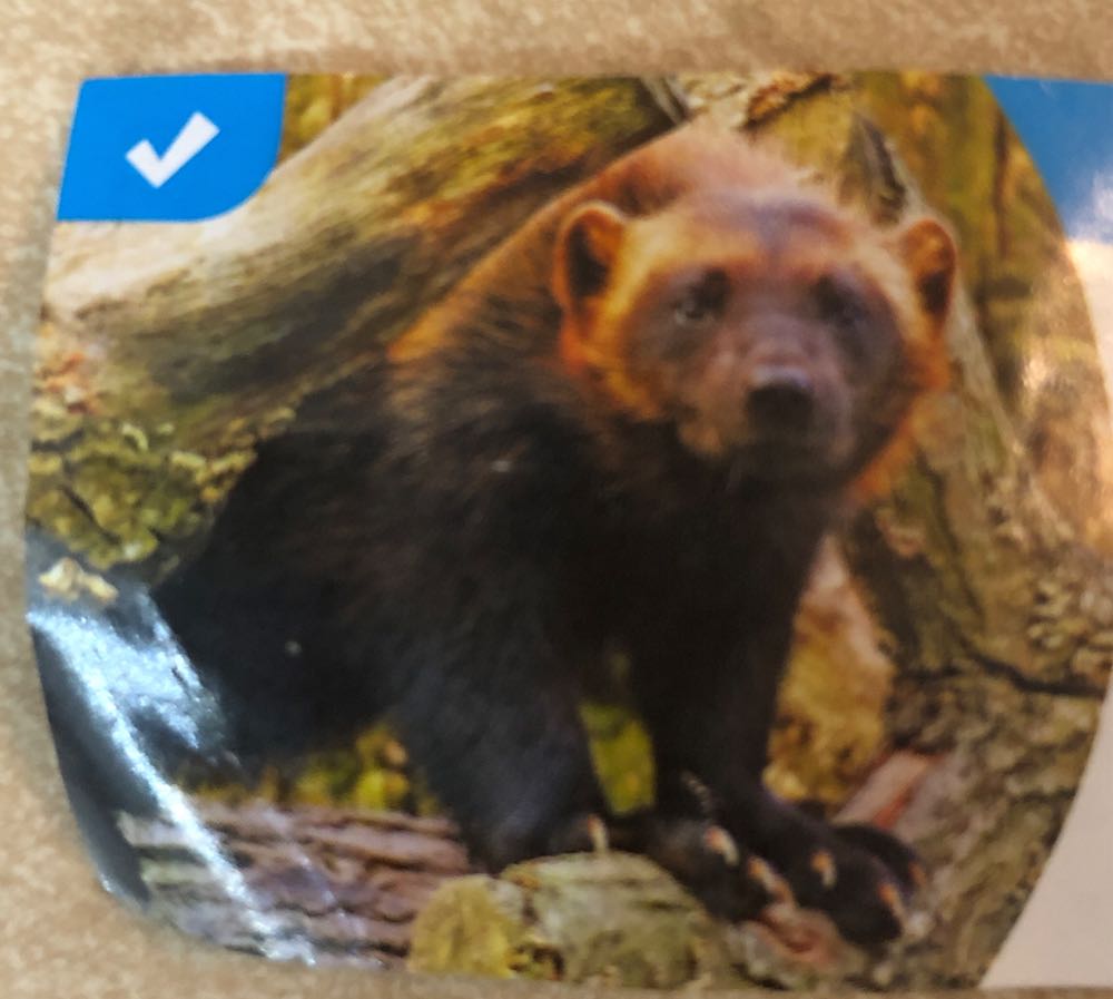 The Child (With Pendant)