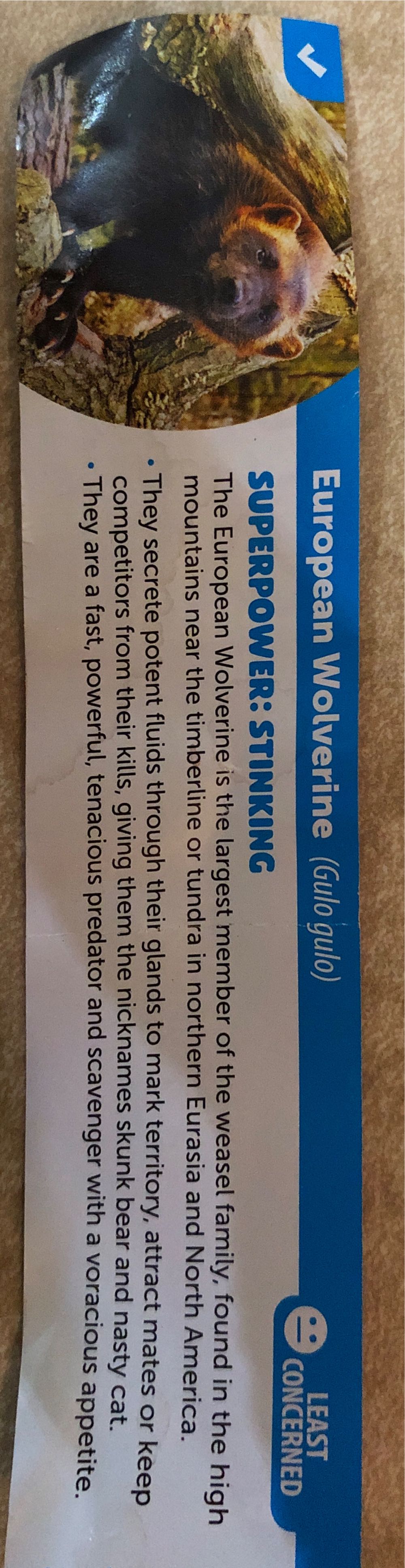 Yowie World Animals With Super Powers Wolverine  vinyl figure collectible - Main Image 2