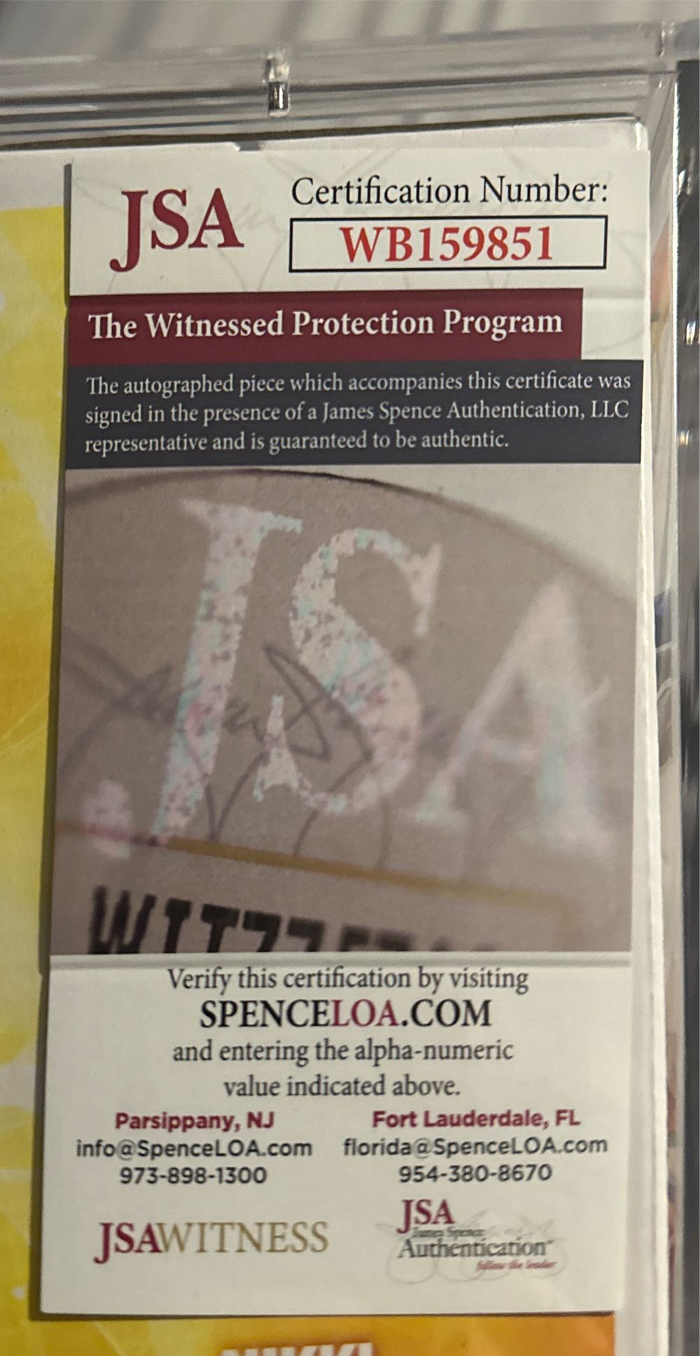 Wwe $260 Brie And Nikki Bella (Autographed By Brie And Nikki Bella) - WWE vinyl figure collectible - Main Image 3