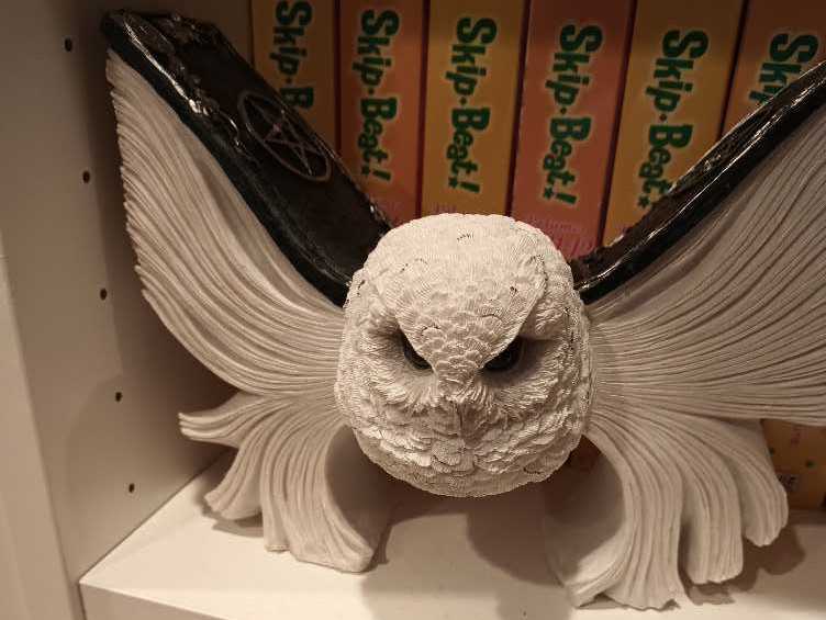 Wwe $260 Brie And Nikki Bella (Autographed By Brie And Nikki Bella)