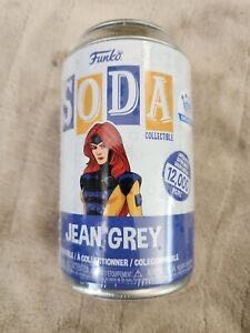 DC Multiverse Batman The Dark Knight Returns: Robin (CHASE) With Build A Horse