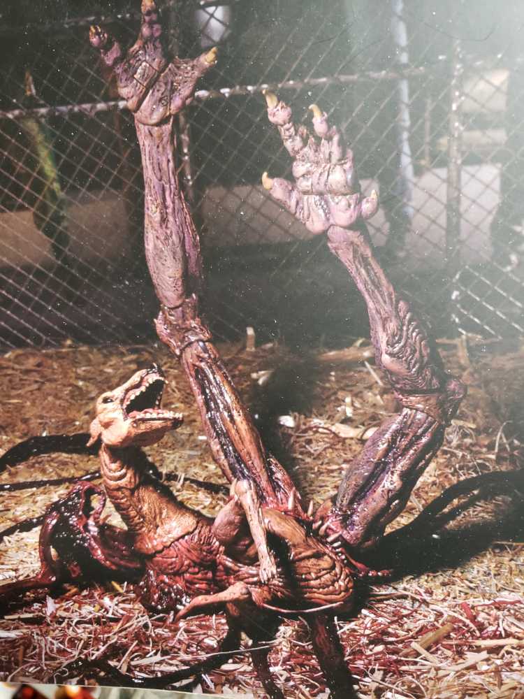 The Thing Dog Creature  vinyl figure collectible [Barcode 634482049051] - Main Image 4