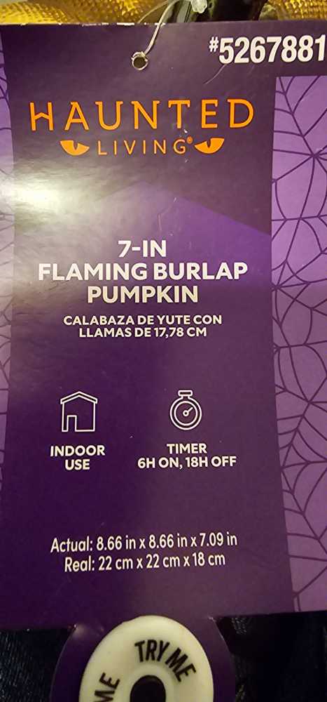 Jack O Lantern   vinyl figure collectible [Barcode 669703900071] - Main Image 2