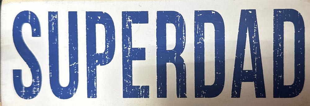 Pokemon Legends: Arceus Poké Ball Replica Figure