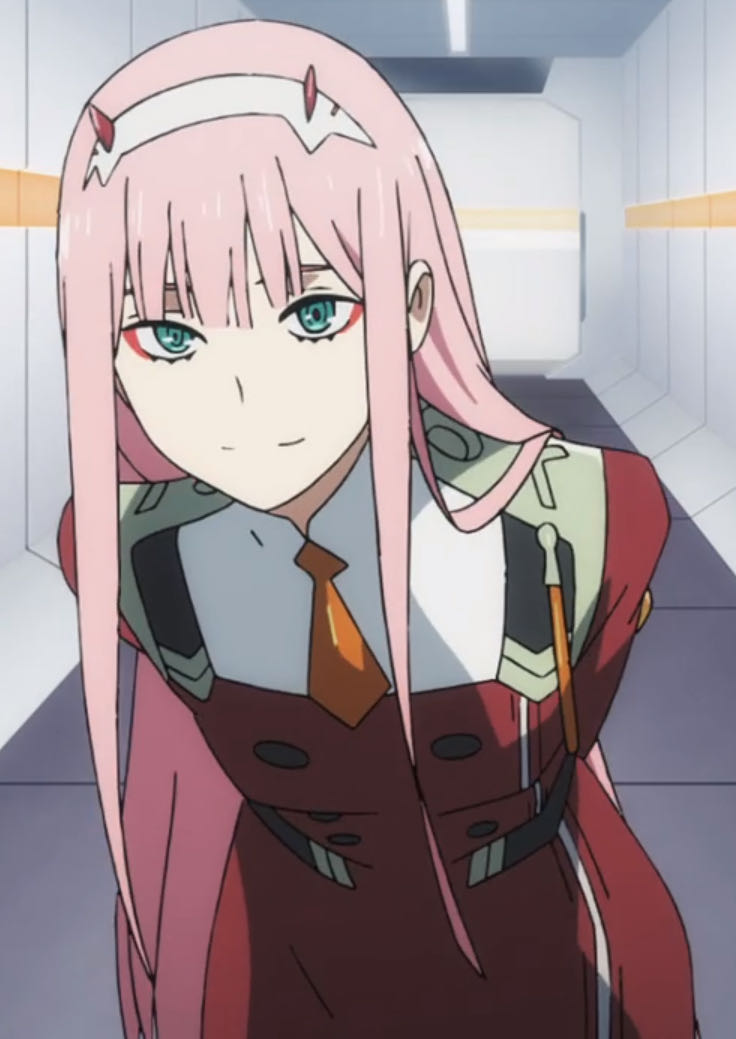 Darling in The Franxx (Zero Two)  vinyl figure collectible - Main Image 2