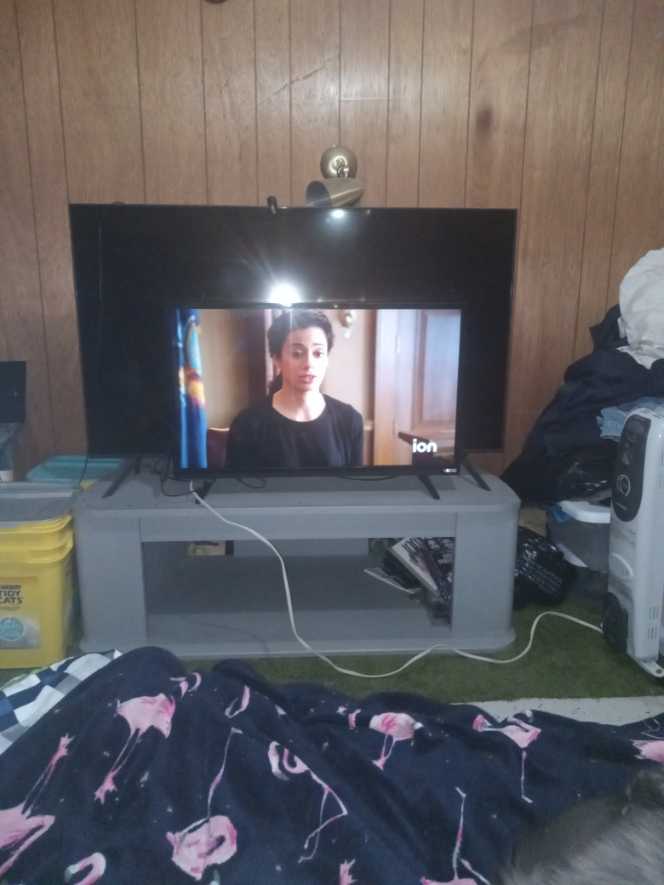 Cartoon 2-pack Super Bebop And Mighty Rocksteady