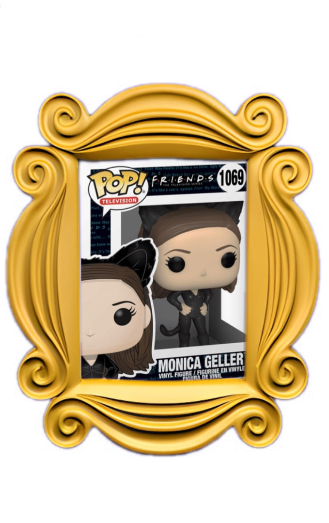 Monica Geller (Catwoman) - Friends vinyl figure collectible - Main Image 2