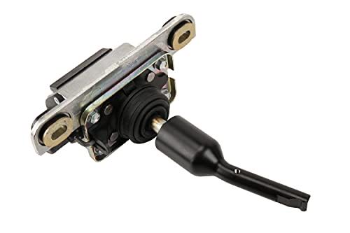 Demon Sword Master of Excalibur Academy (Riselia)