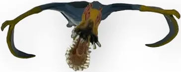 Schleich Pterosaur Moving Jaw Pterodactyl  vinyl figure collectible [Barcode 4005086145337] - Main Image 2