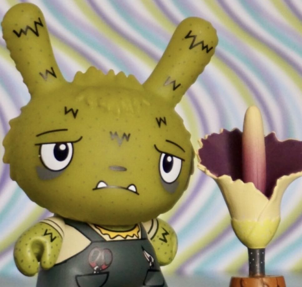 T- Shirt And Pop Princess Leia