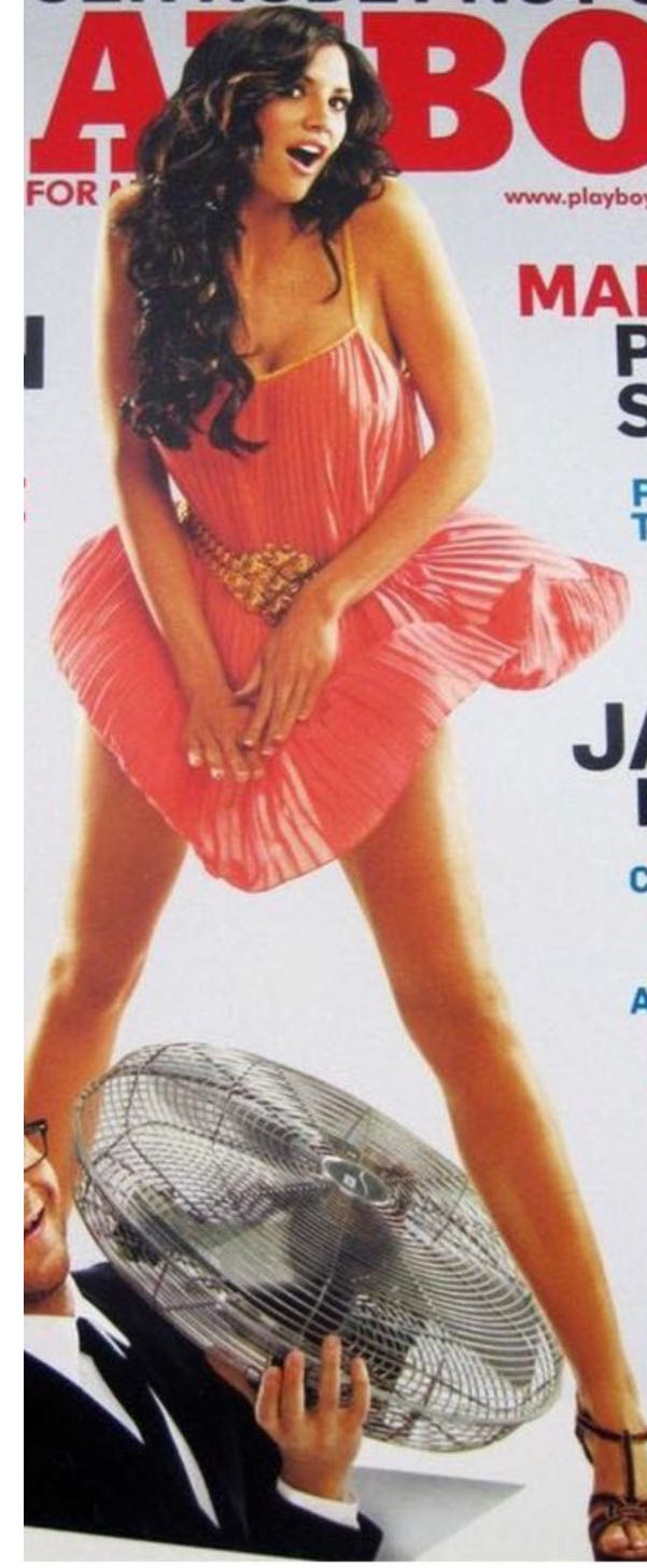 XTC Archaeology Of Perfection  (April) magazine collectible - Main Image 4