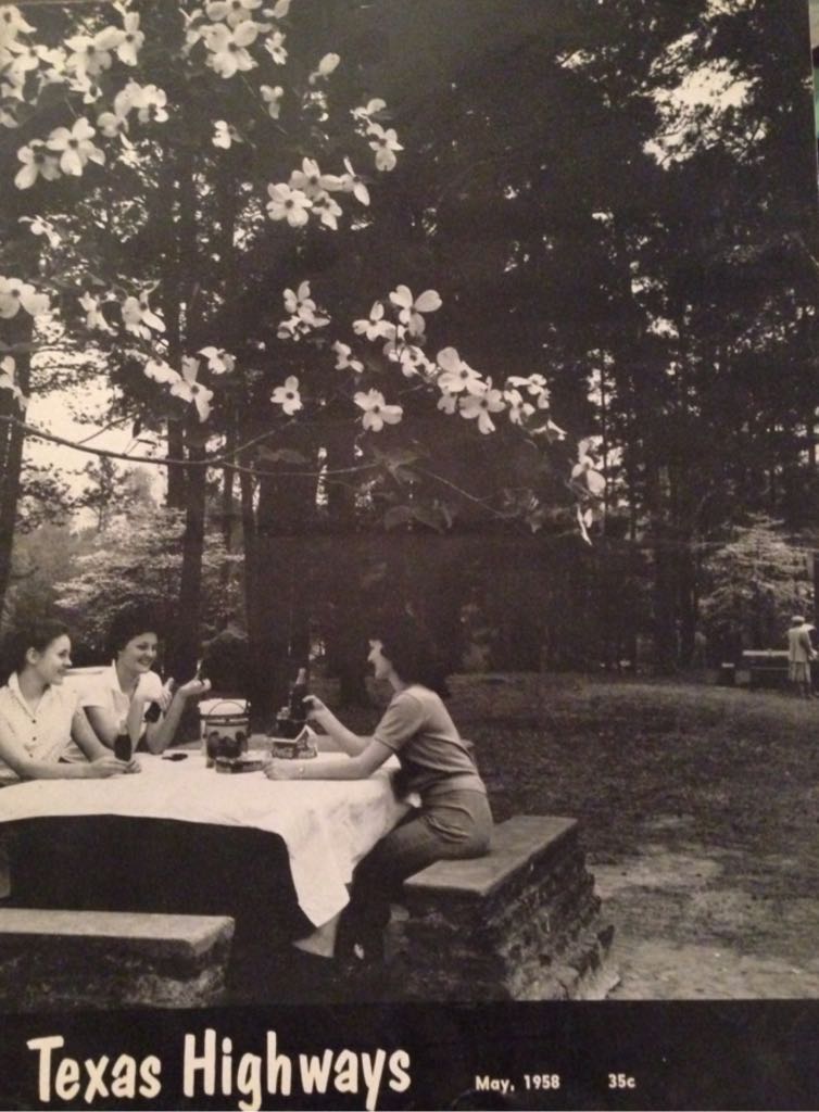 Quilter’s Newsletter 