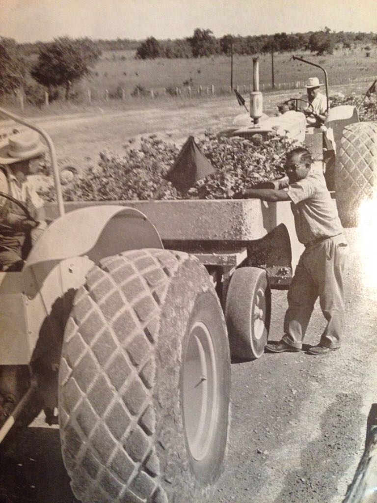 Texas Highways  (August) magazine collectible - Main Image 2