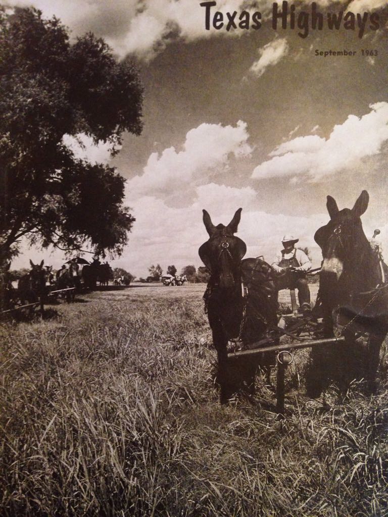 Chelsea FA Cup Match Programme 1973-74