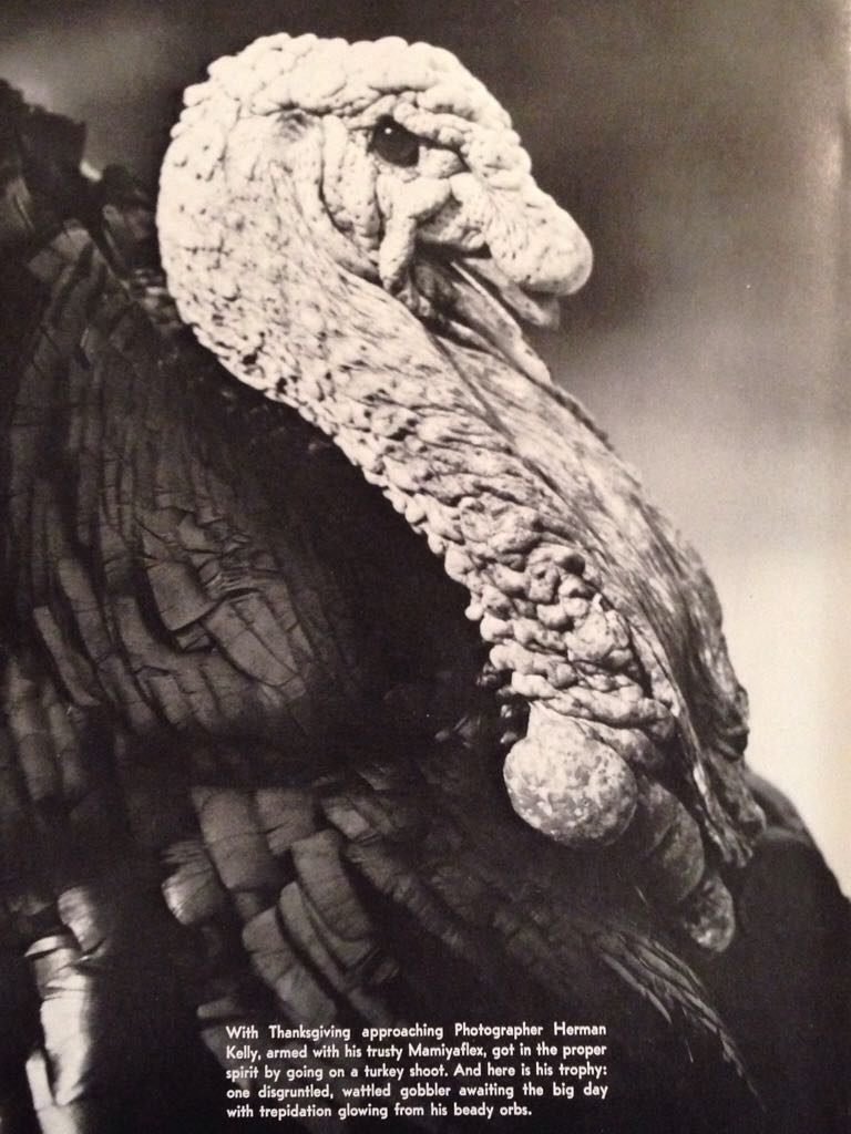 Texas Highways  (November) magazine collectible - Main Image 2