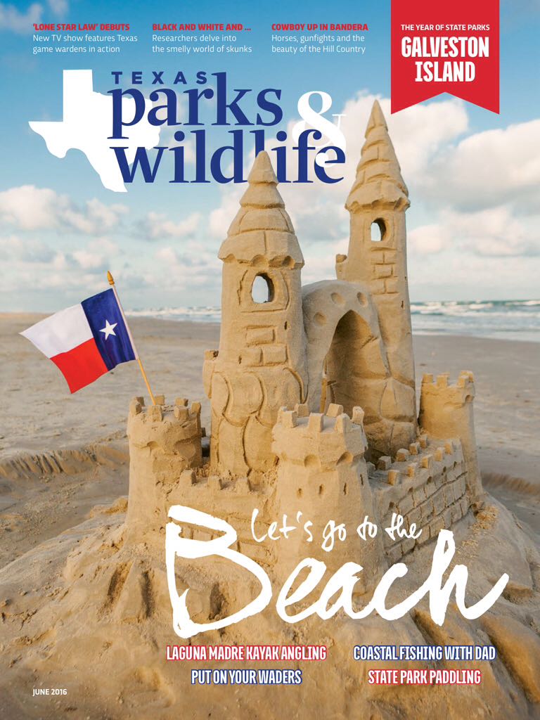 Football League Cup Final Programme 1988