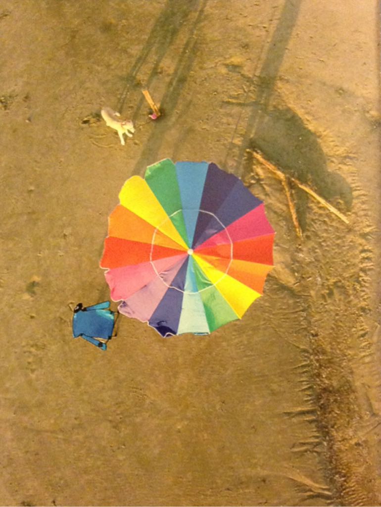 Texas Parks & Wildlife  (June) magazine collectible - Main Image 2