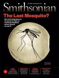 Machine Quilting Unlimited