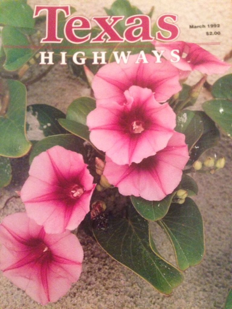 Designs In Machine Embroidery