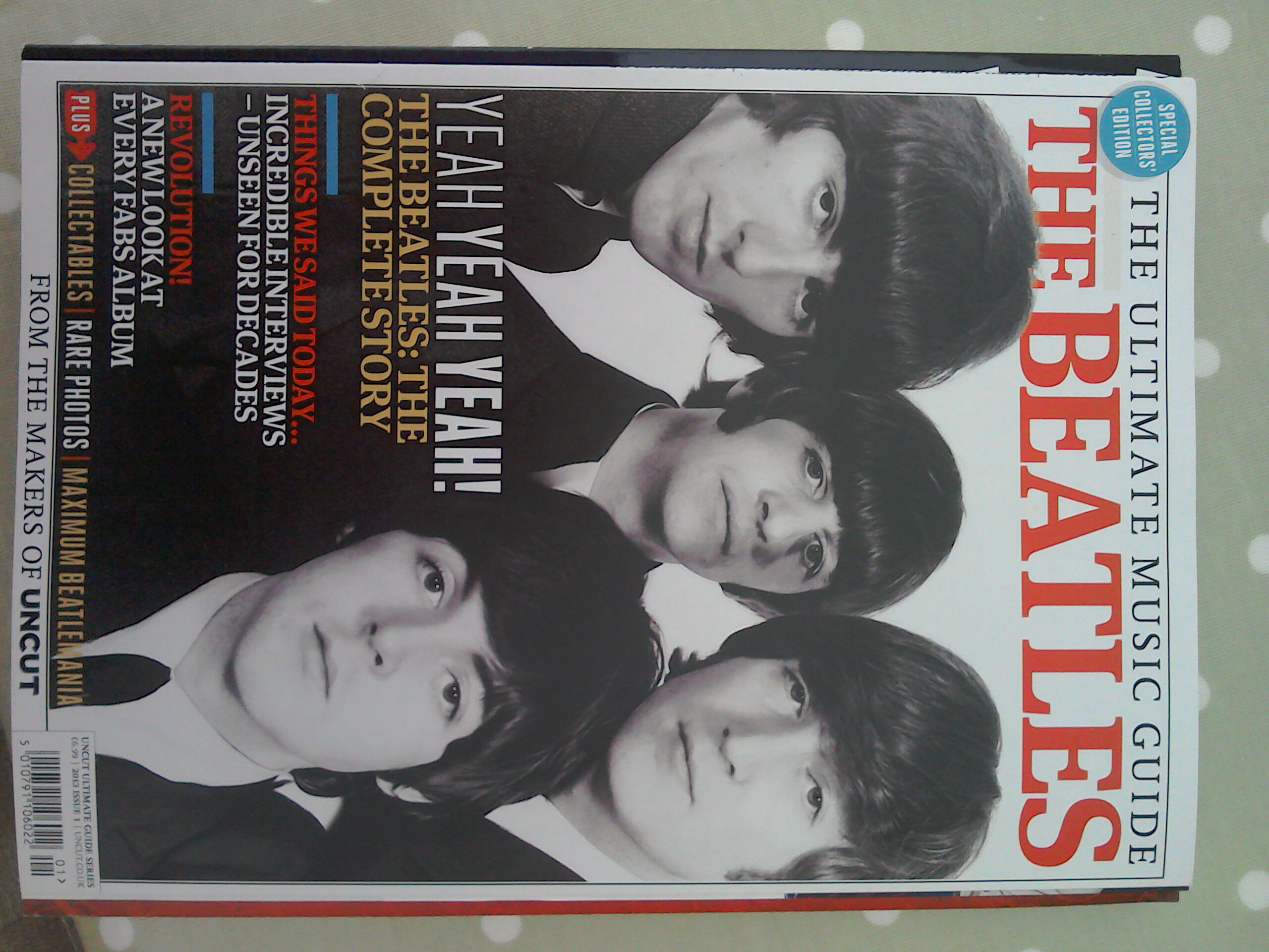 Walt Disney World Eyes & Ears