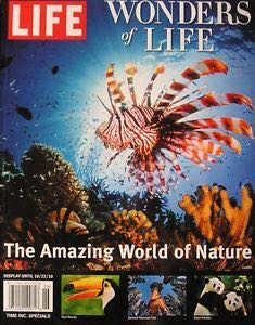 Quiltmaker’s All Time Favorites