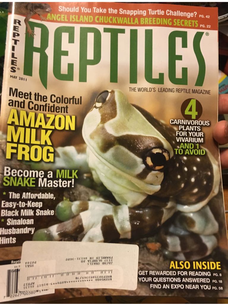Reptiles  (May) magazine collectible - Main Image 1