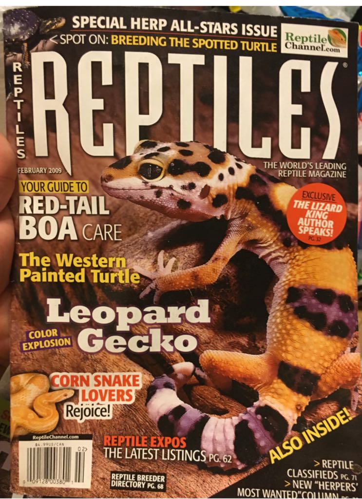 Reptiles  (February) magazine collectible - Main Image 1
