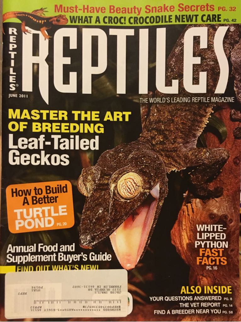 Reptiles. Vol.19. No.6  (June) magazine collectible - Main Image 1
