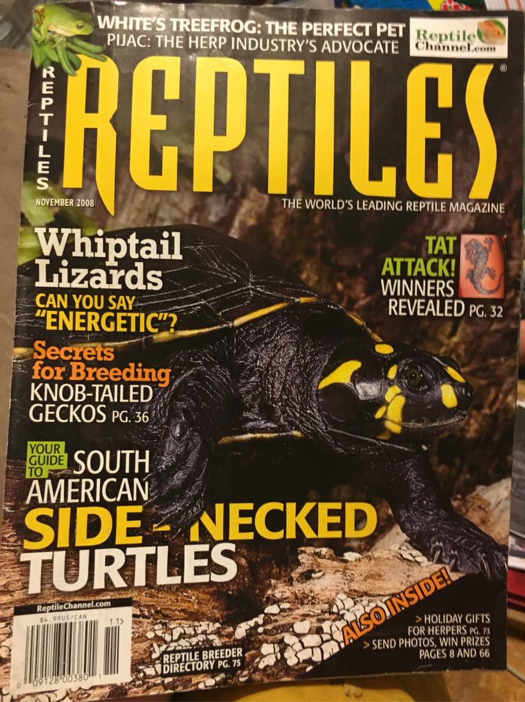 Reptiles. Vol.16. No.11  (November) magazine collectible - Main Image 1