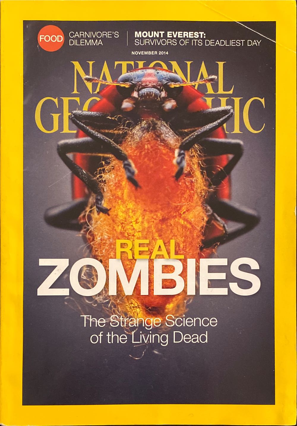 National Geographic  (November) magazine collectible - Main Image 2