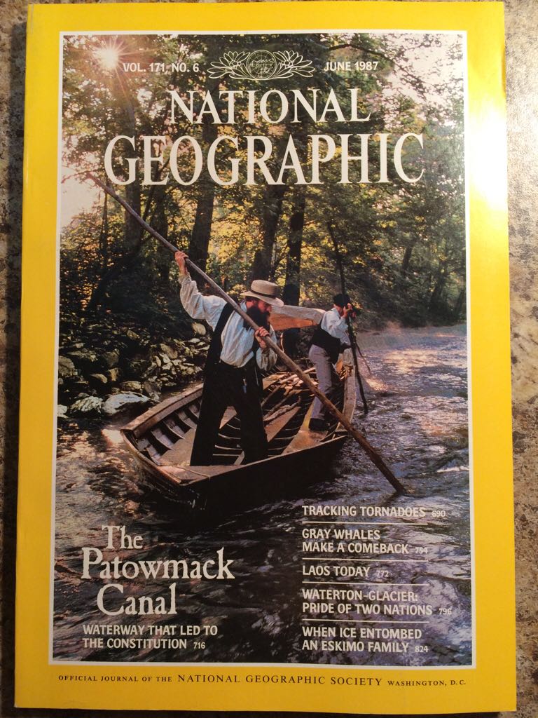 Gitarre & Bass Ibanez