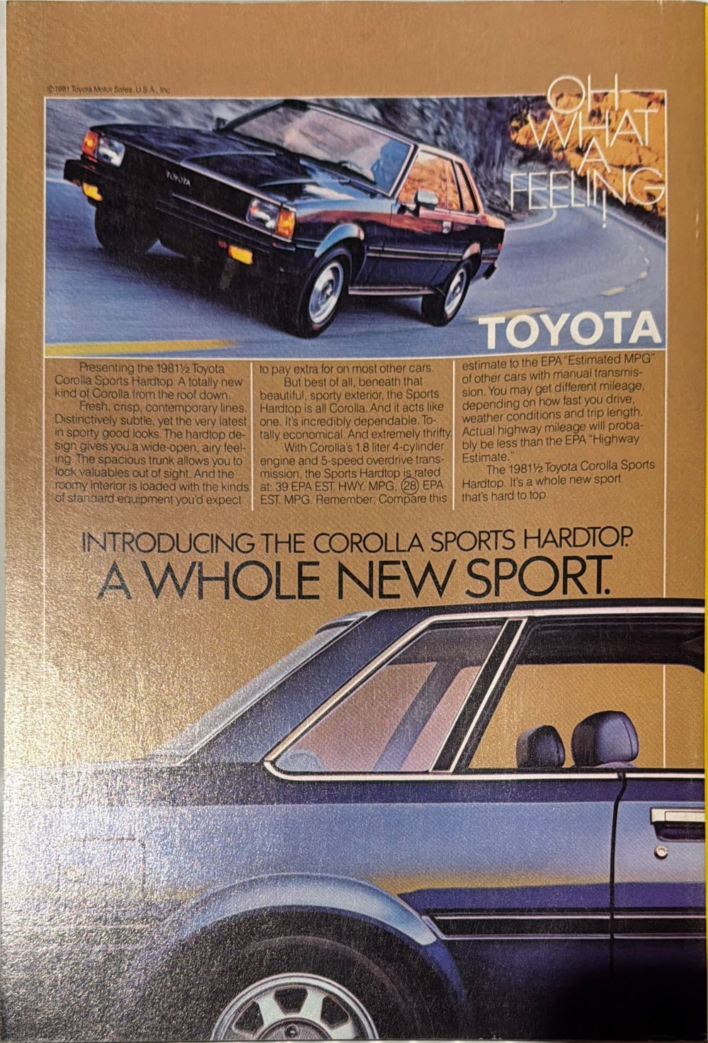 National Geographic  (June) magazine collectible - Main Image 2