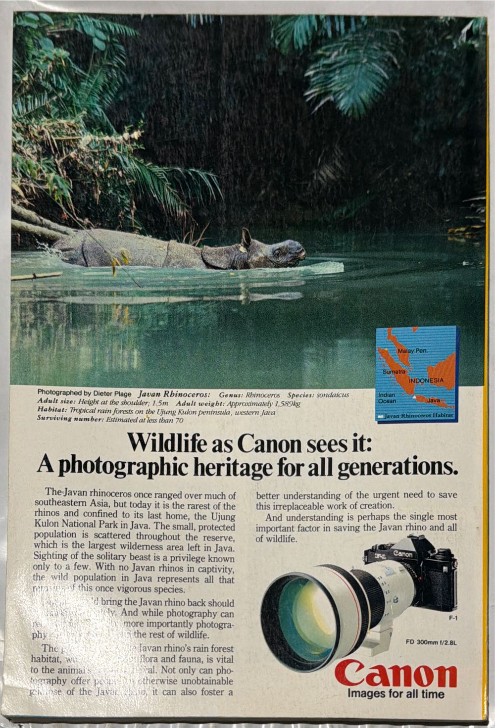 National Geographic  (August) magazine collectible - Main Image 2