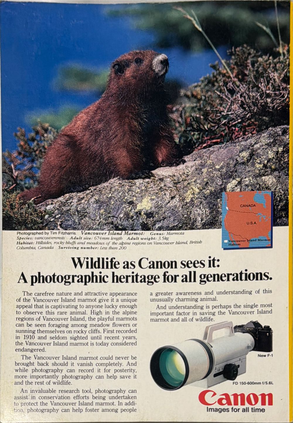 National Geographic  (August) magazine collectible - Main Image 2