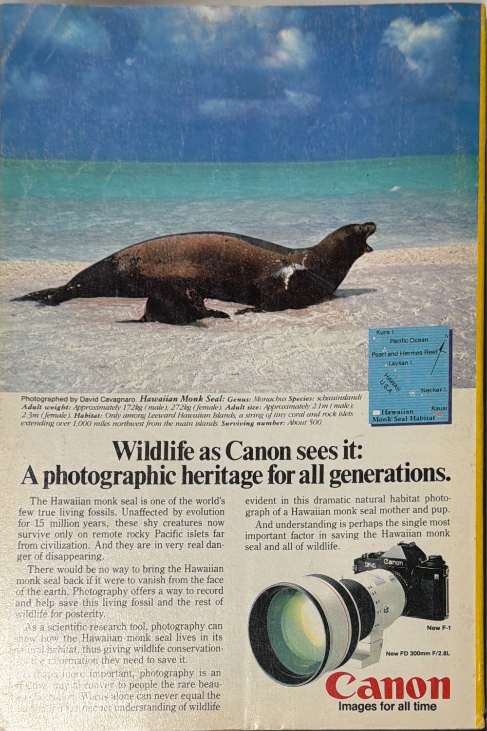 National Geographic  (August) magazine collectible - Main Image 2