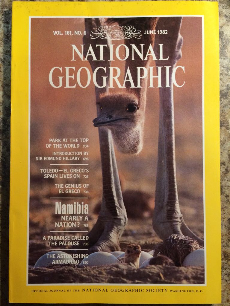 The New England Beat