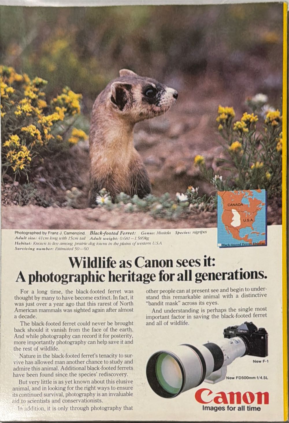 National Geographic  (February) magazine collectible - Main Image 2