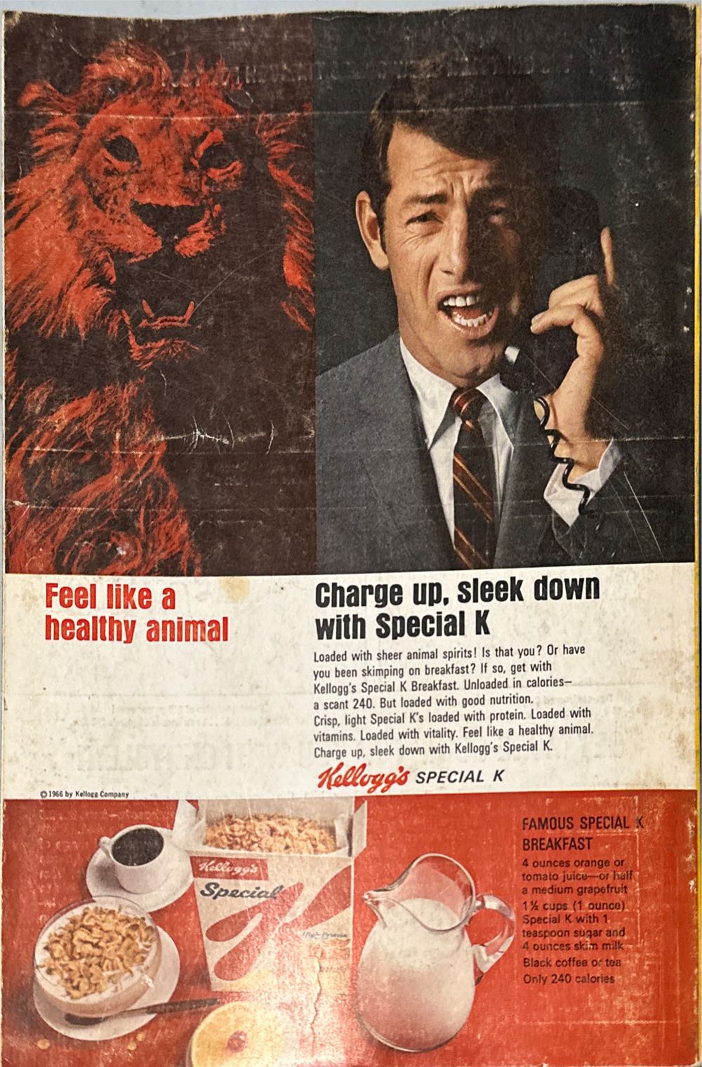 National Geographic  (February) magazine collectible - Main Image 2