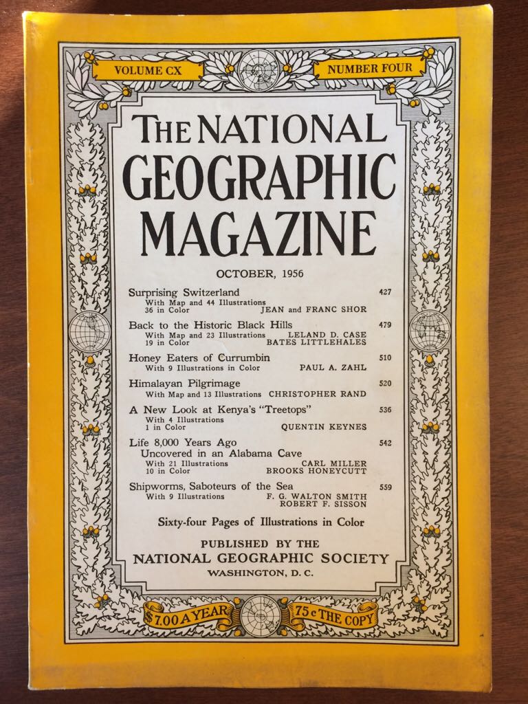 American Photographer