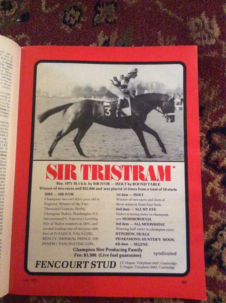 The New Zealand Blood Horse  (July) magazine collectible - Main Image 2